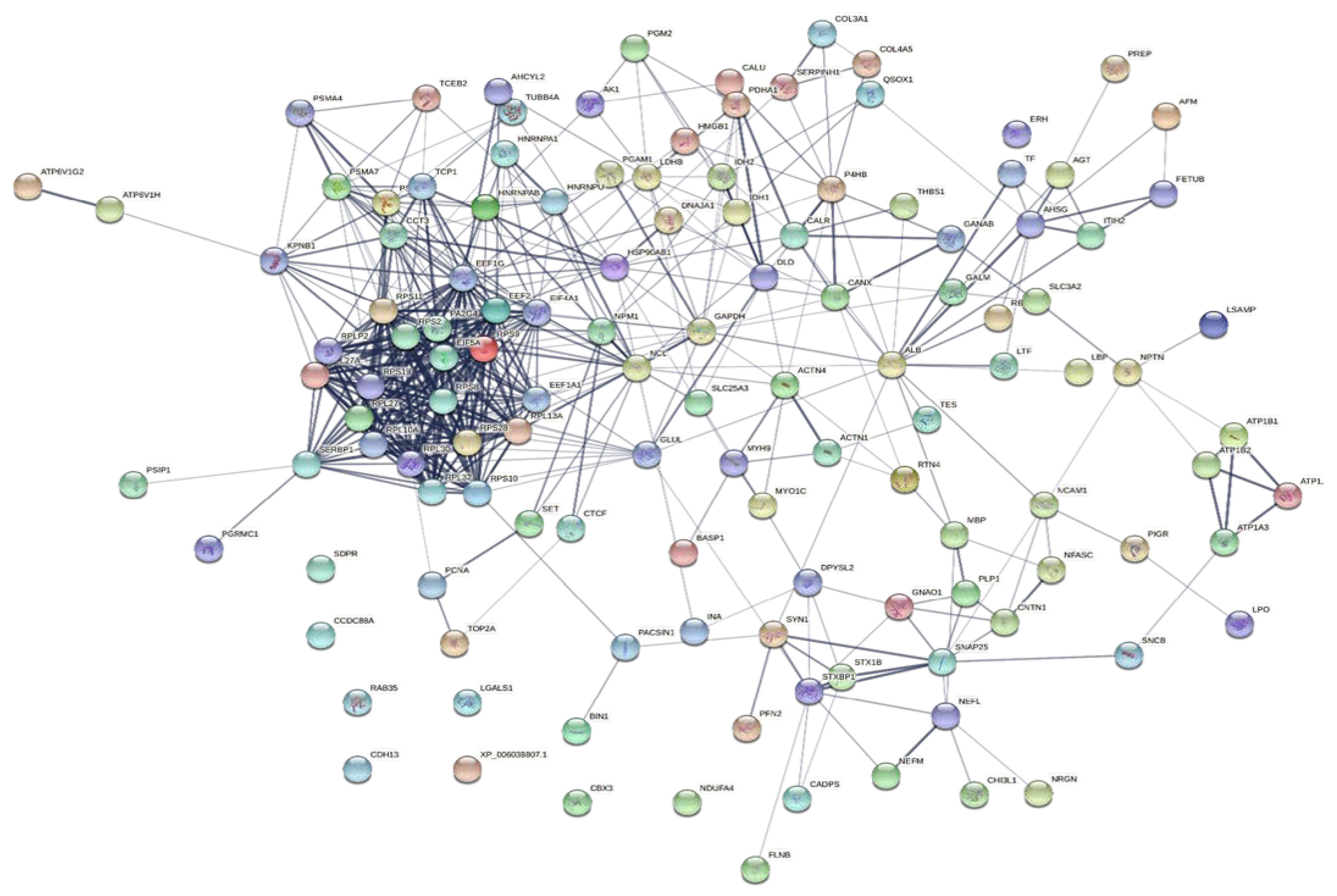 Lehman, Lee & Xu Guangxi, China Office