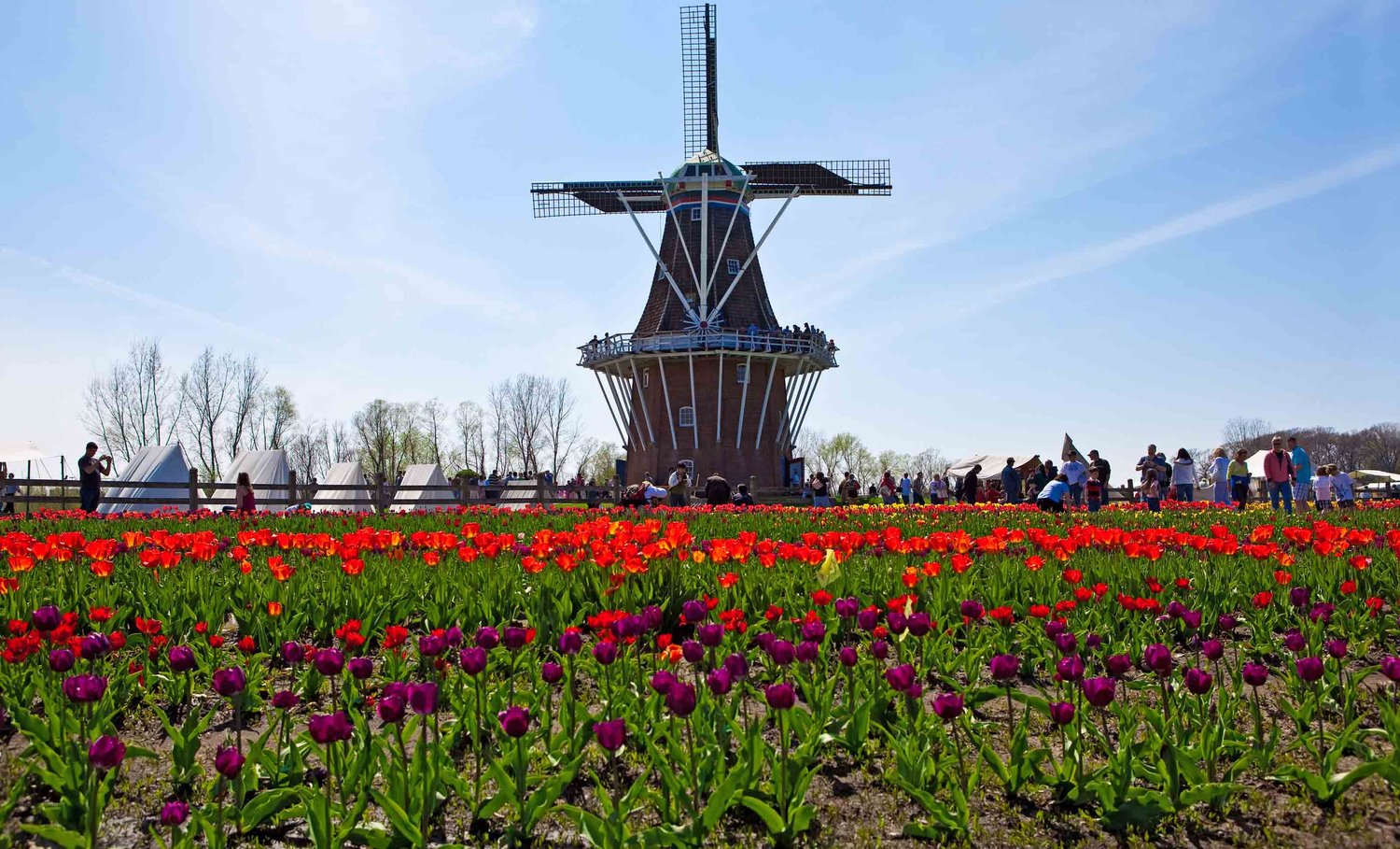 Lowe Law Firm PC Okemos, MI Office