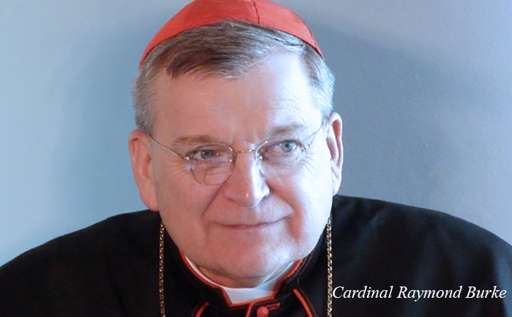 Thomas More Law Center Ann Arbor,  Office