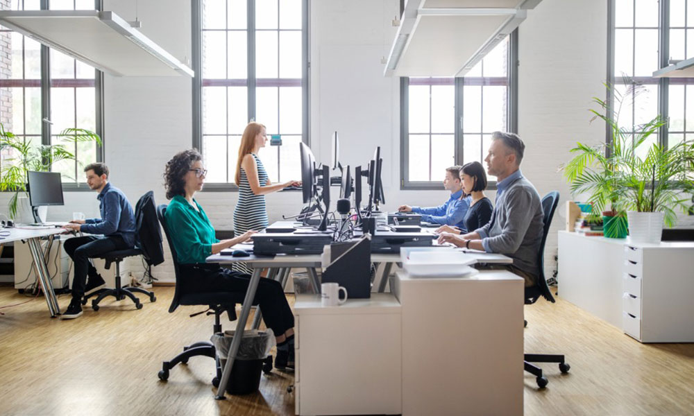 Dentons Kensington Swan Auckland, New Zealand Office