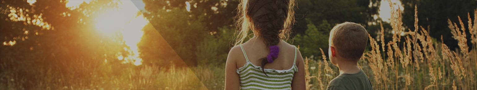 Creighton McLean & Shea PLC Livonia, MI Office