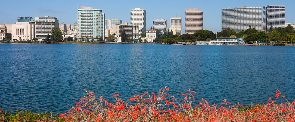 Rankin, Shuey, Mintz, Lampasona & Harper Oakland, CA Office