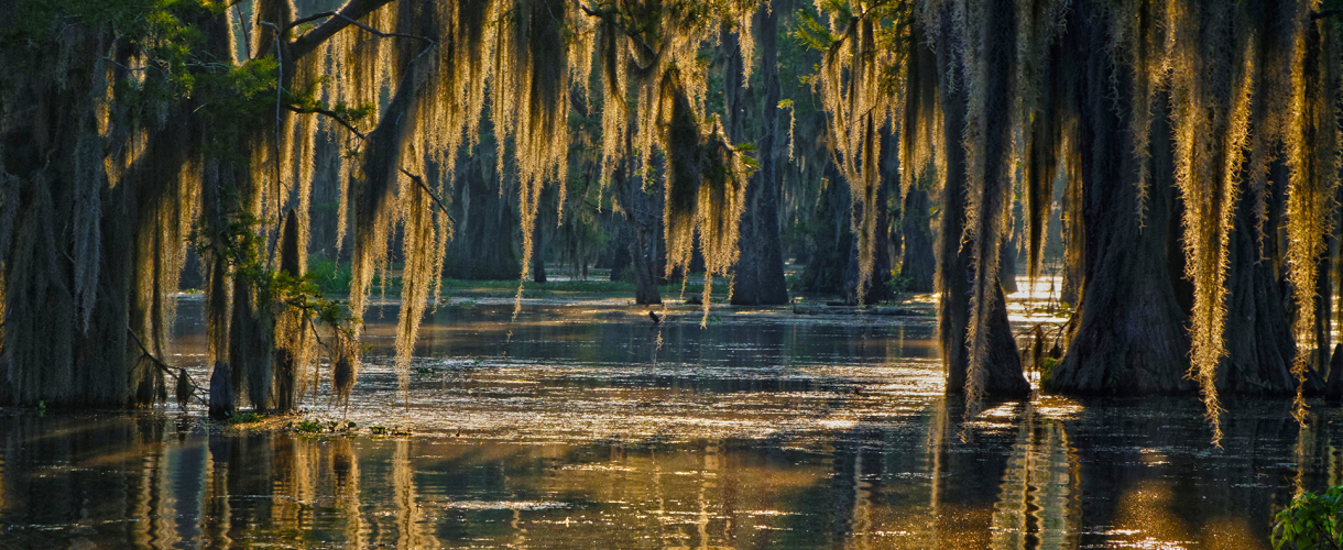 Oats & Marino Baton Rouge, LA Office