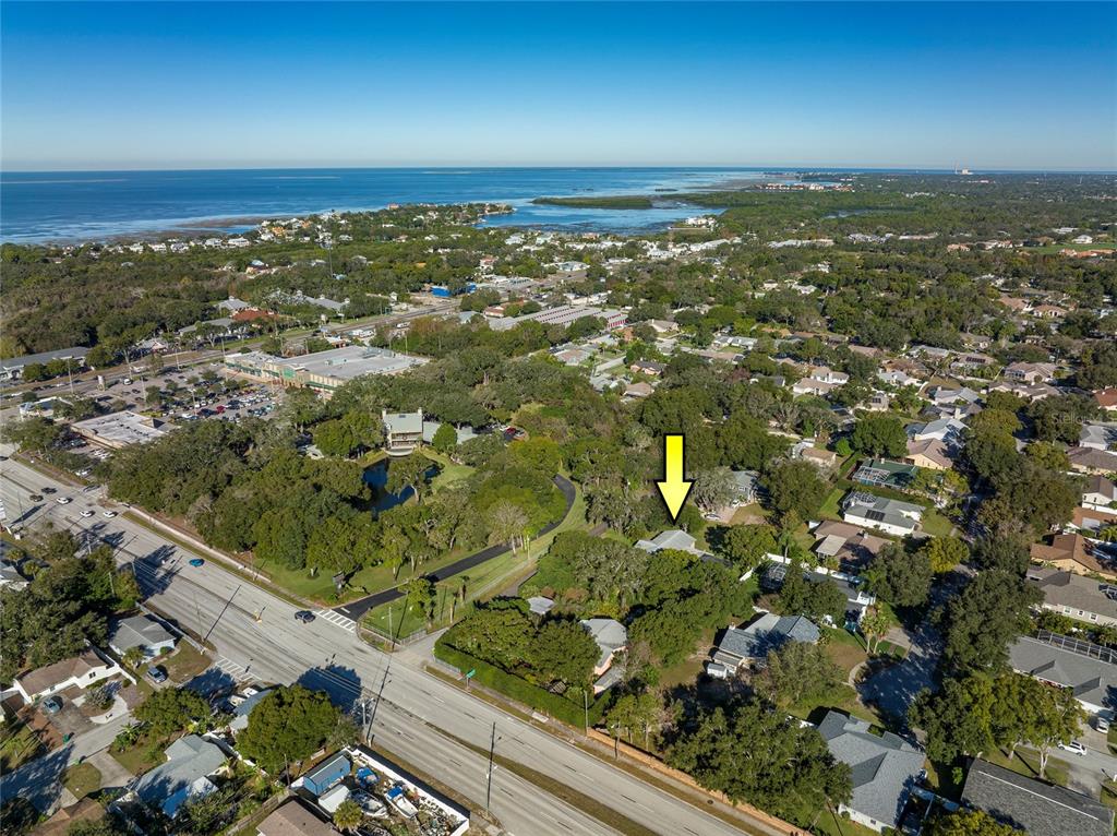 Florin & Roebig Palm Harbor, FL Office