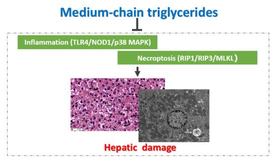 East & Concord Partners Wuhan, China Office