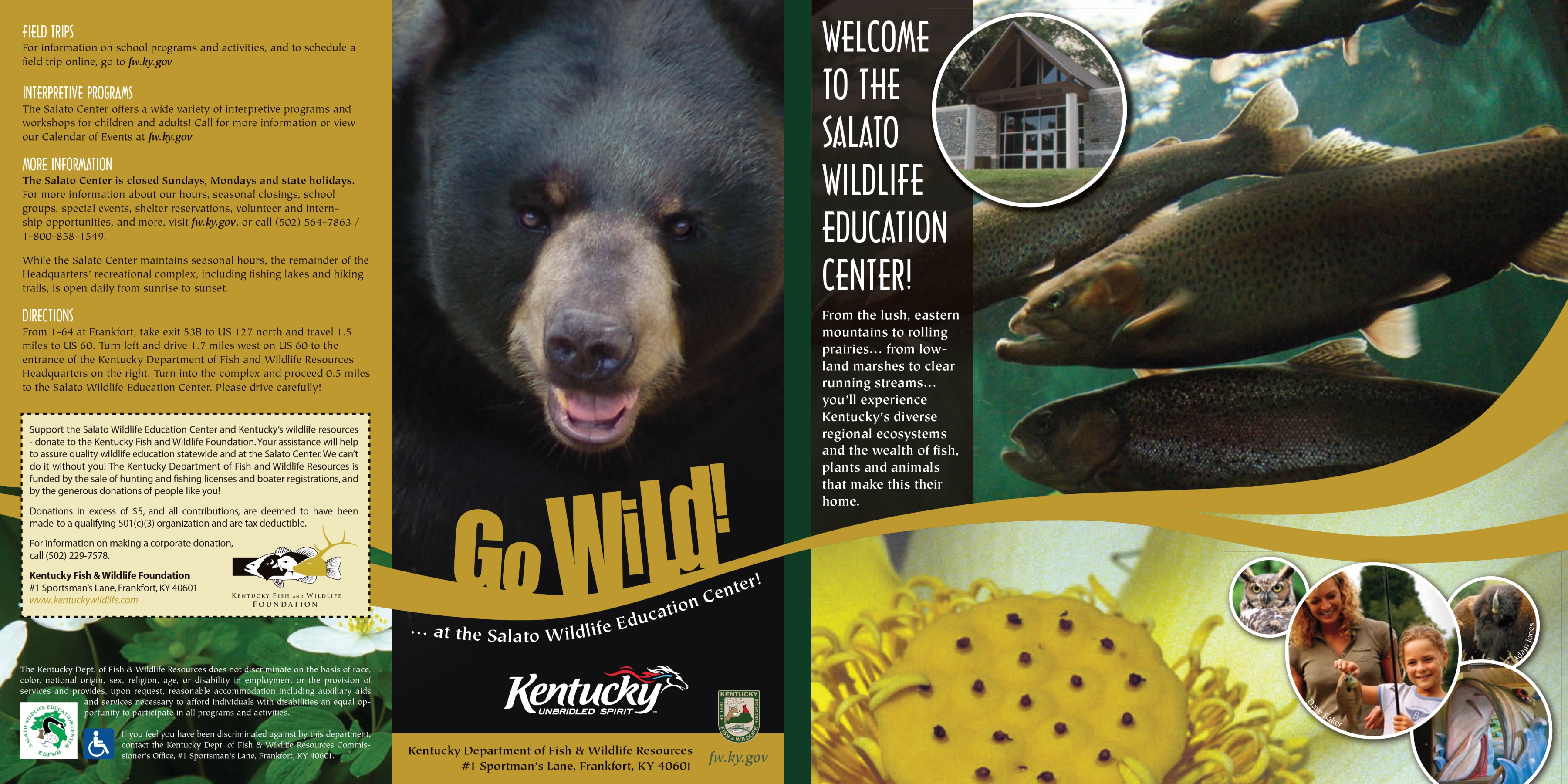 Johnson Bearse, LLP Frankfort,  Office