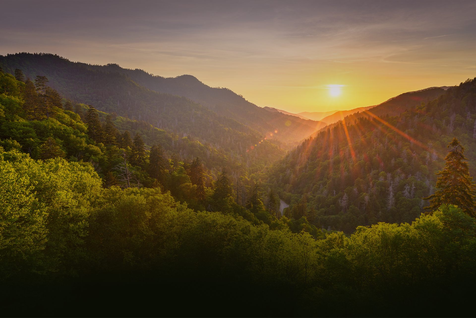 The Haynes Firm Johnson City,  Office