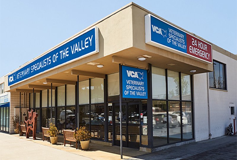 The Norton Law Group Woodland Hills, CA Office