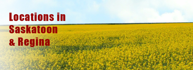 Mcdougall Gauley, Barristers & Solicitors Regina, Canada Office