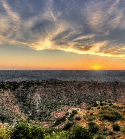 The Law Office of Natalie Gregg Allen, TX Office