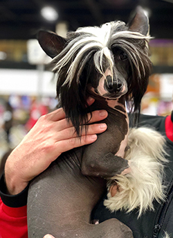 Feldman & Schneiderman, P.L Boca Raton, FL Office