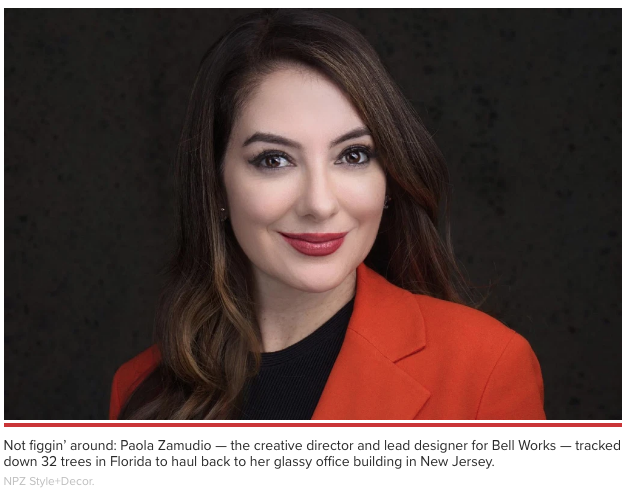 NPZ Law Group New York City, NY Office