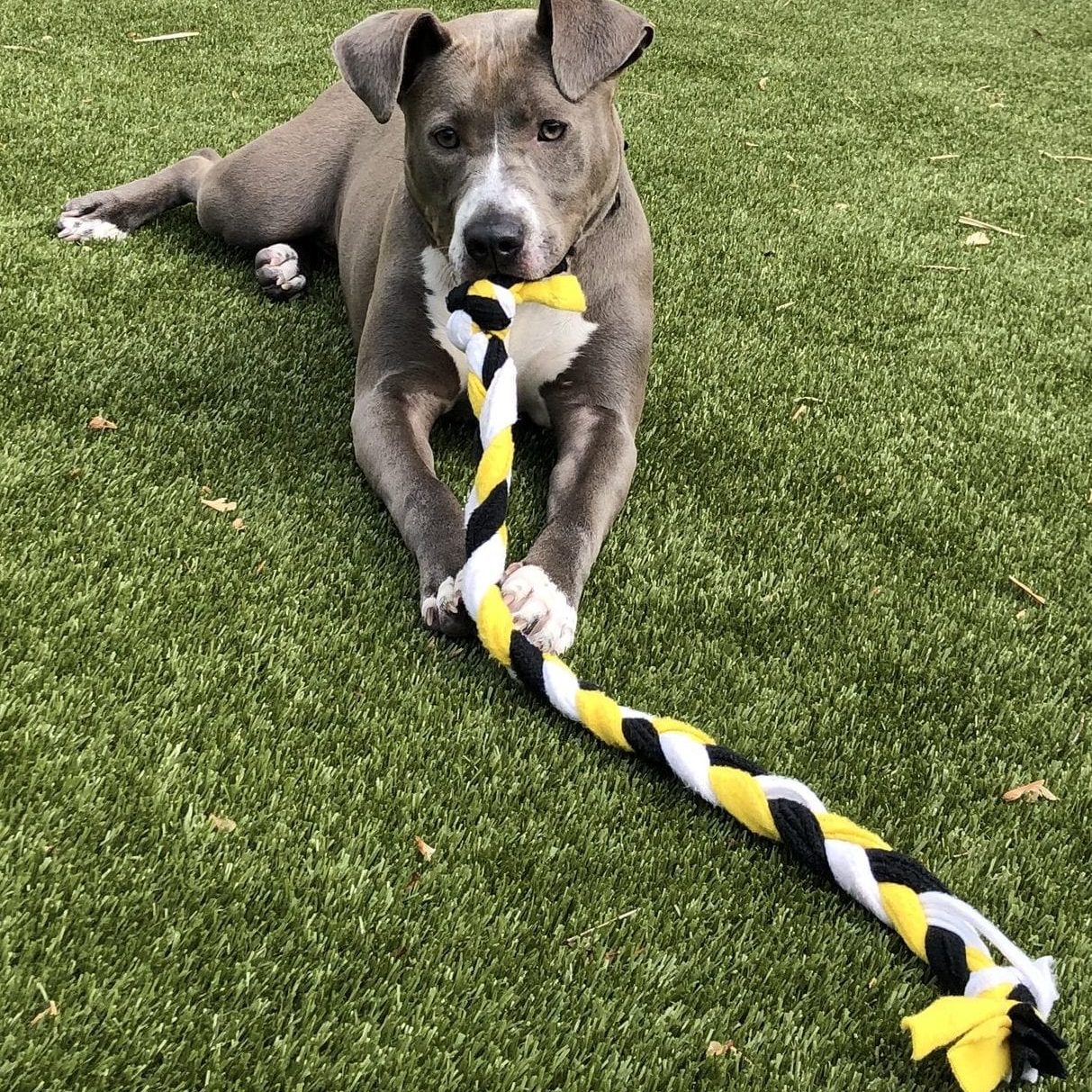 Law Offices of Leo T. White, LLC Phoenixville,  Office