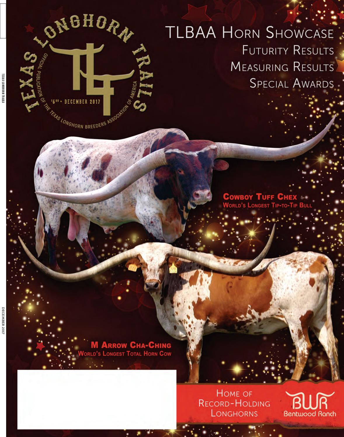 Basham & Scott LLC Attorneys At Law Magnolia, TX Office