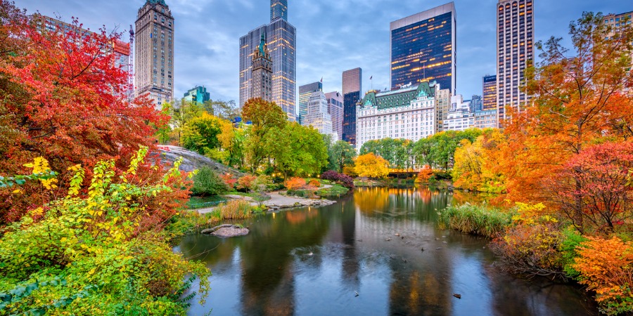 Jameson Law LLC New York City, NY Office