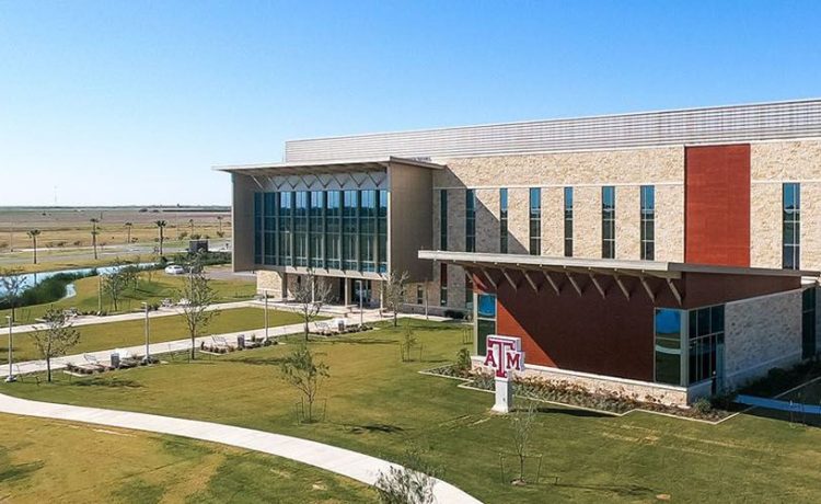 The Law Offices of Richard Pena, PC McAllen, TX Office