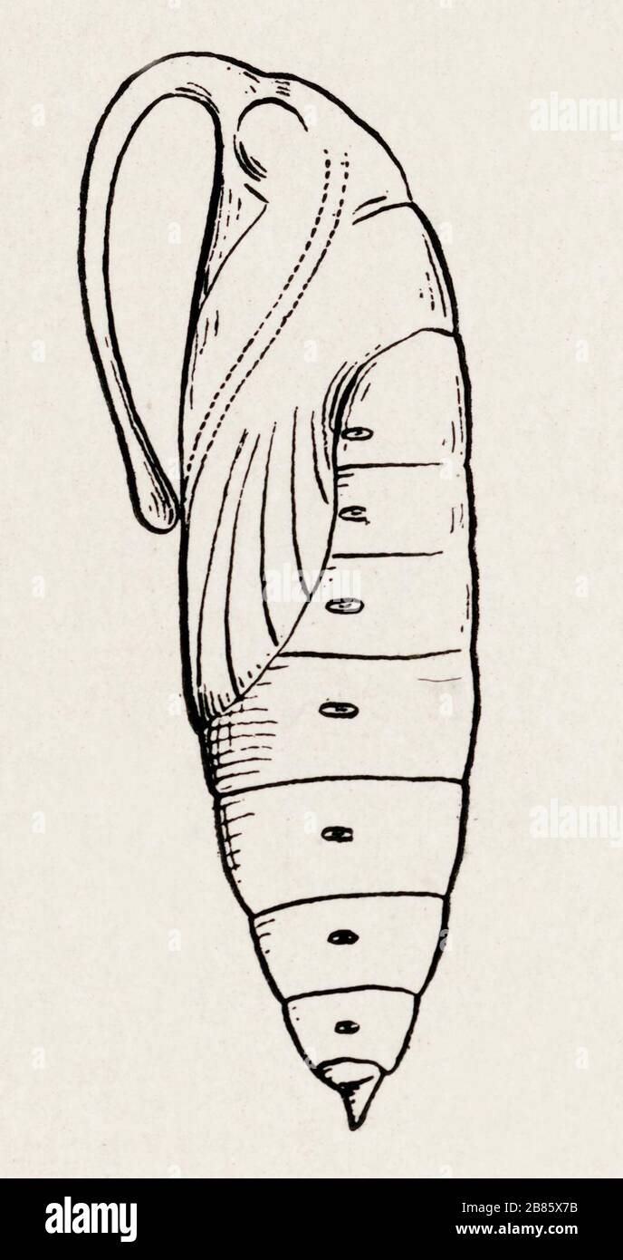 Dentons Manama, Bahrain Office