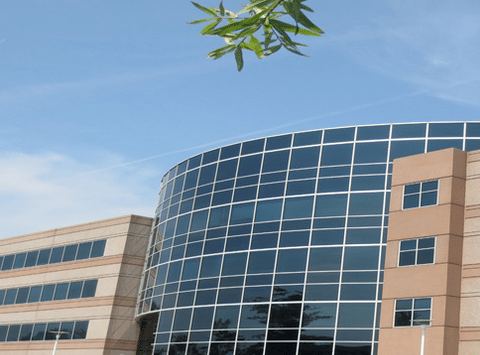 Armstrong, Cheris & Page Rockville,  Office