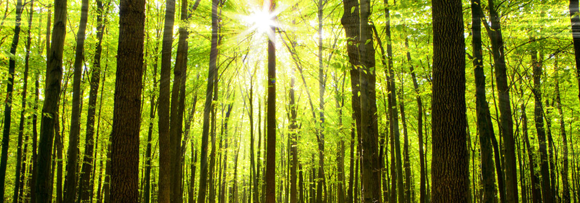 Orgain Bell & Tucker, LLP Austin, TX Office