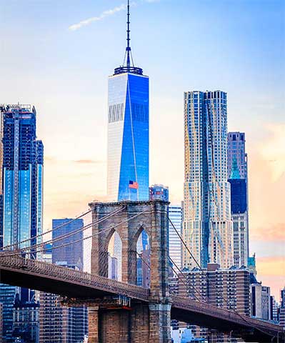 Daniels Norelli Cecere & Tavel P.C Rego Park, NY Office