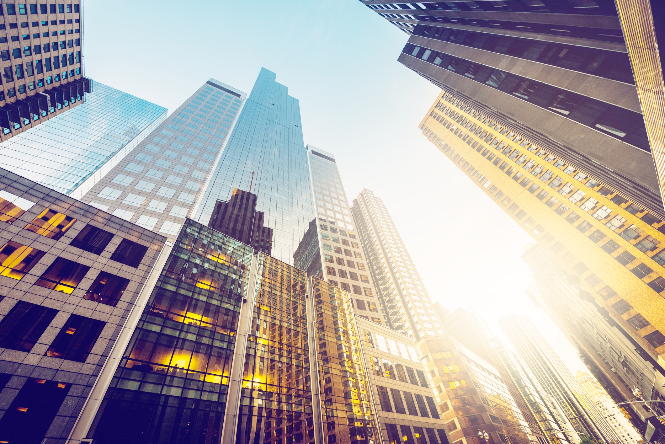 Chan Punzalan San Mateo,  Office