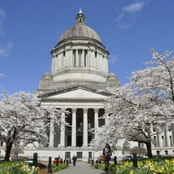 Feltman Ewing Spokane, WA Office