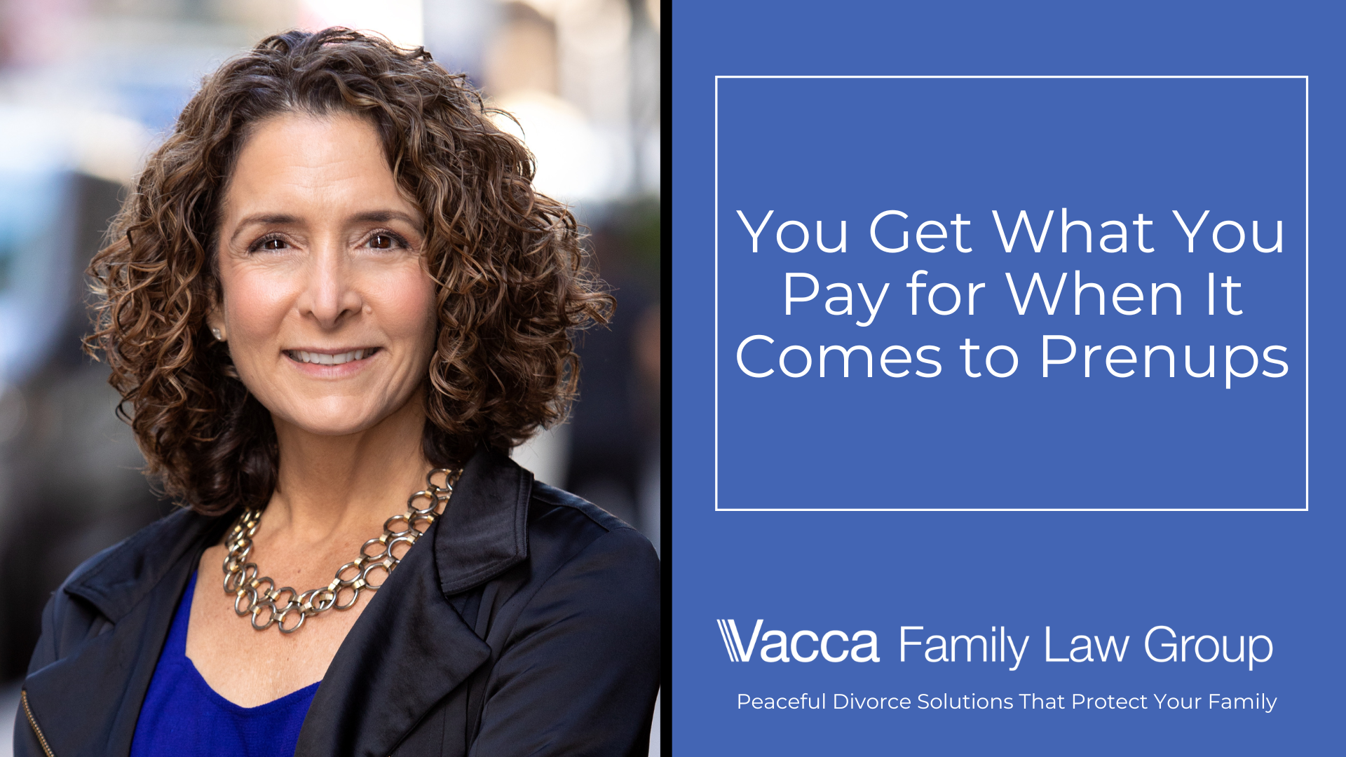 Vacca Family Law Group New York City, NY Office