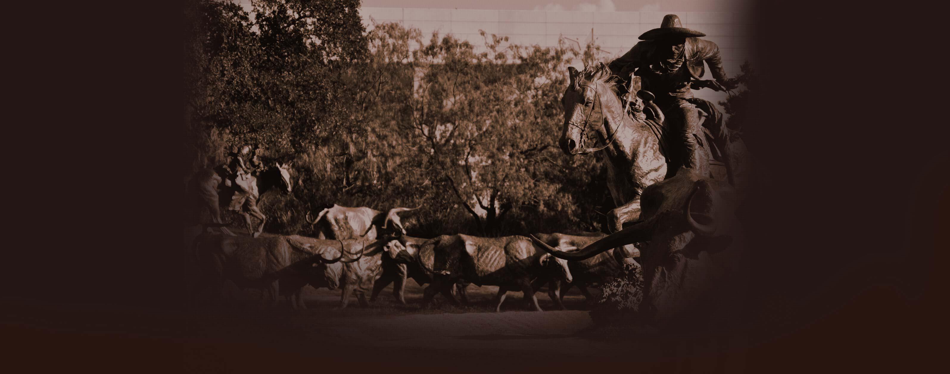 Walters Balido & Crain Austin, TX Office