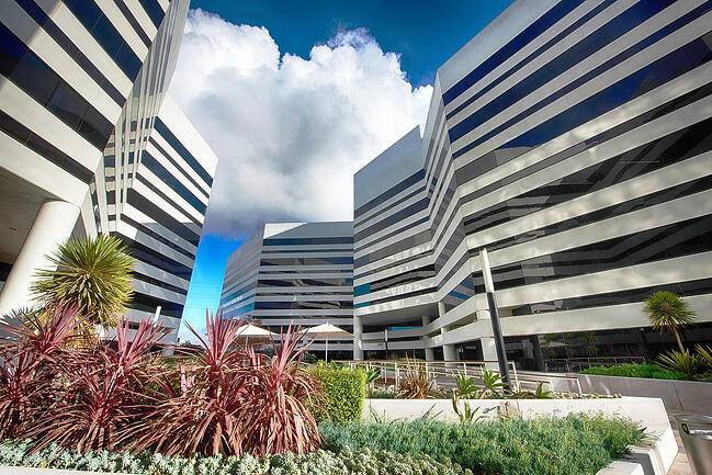 Neff Law Firm Manhattan Beach, CA Office