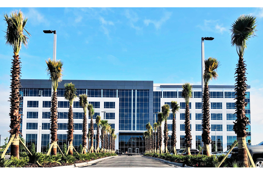 Harrell and Harrell, P.A Jacksonville, FL Office