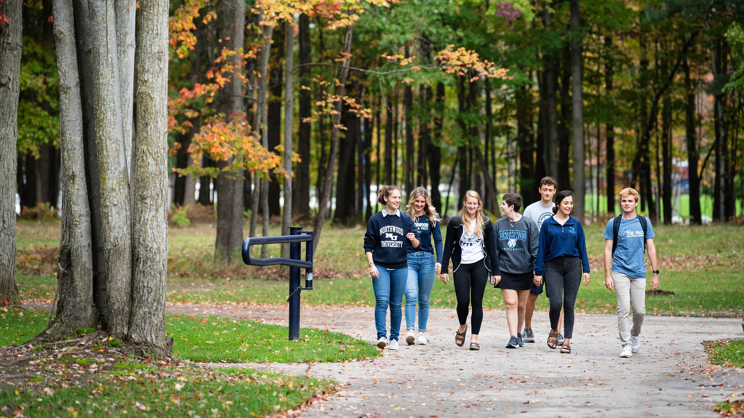 Fabrizio & Brook, PC Troy, MI Office