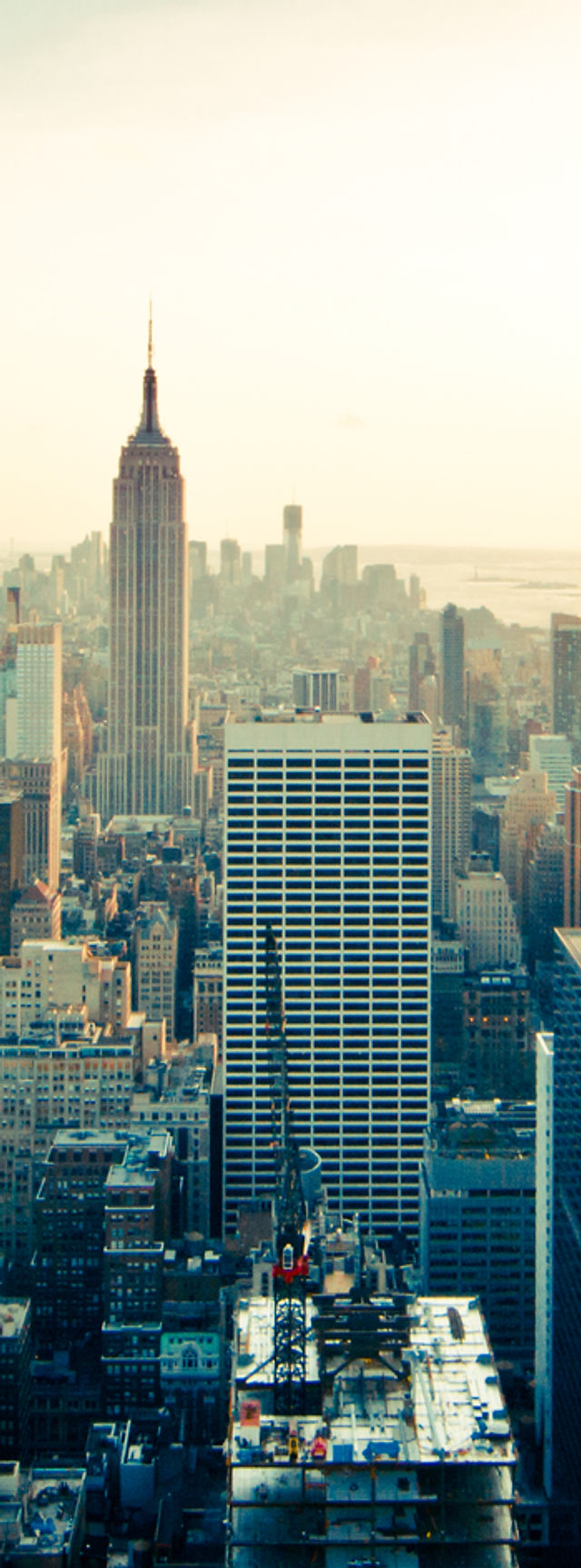 Lazarus Karp Ehrlich McCourt, LLP New York City,  Office