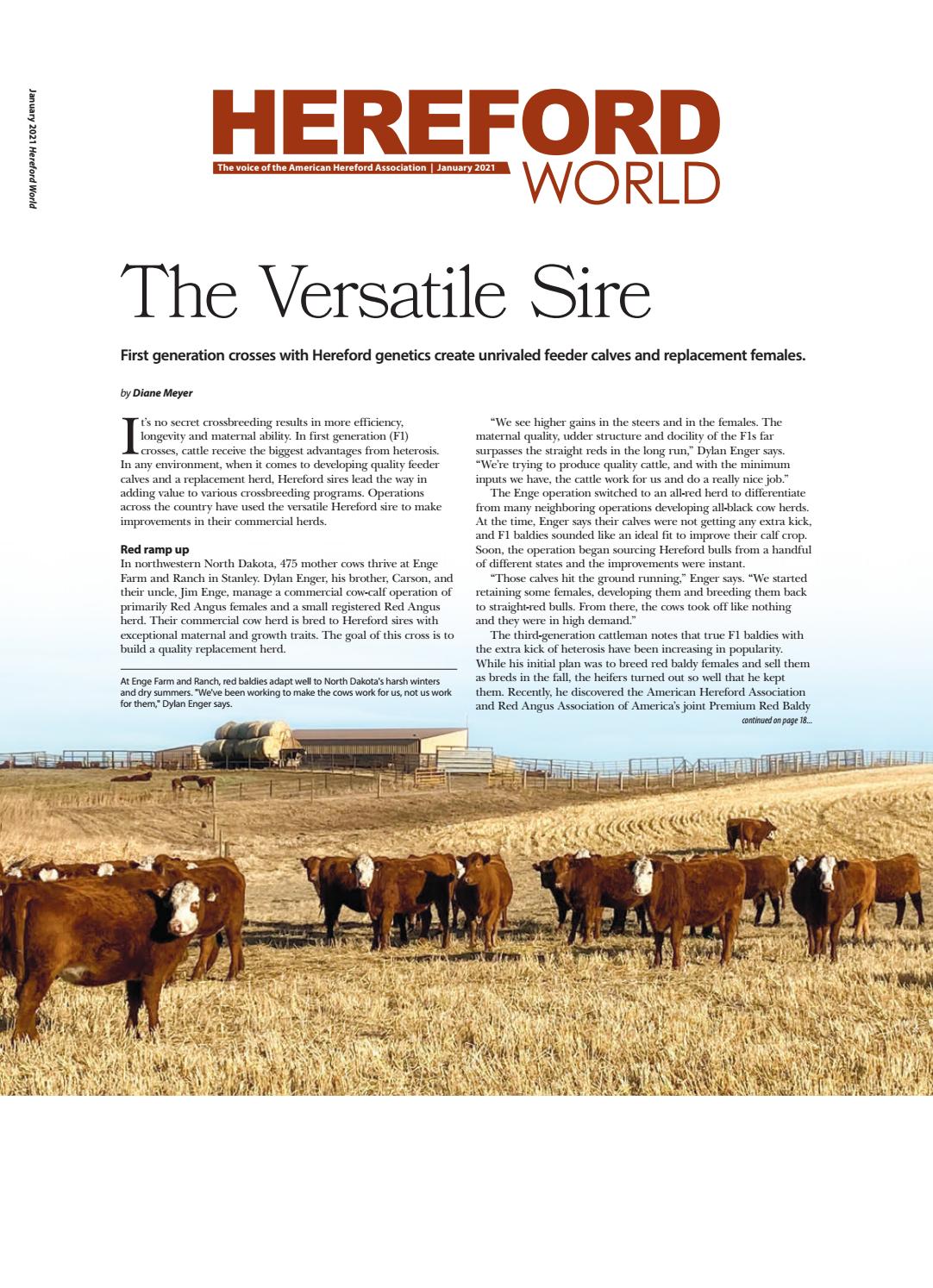 Shepherd Elder Law Group LLC Kansas City,  Office