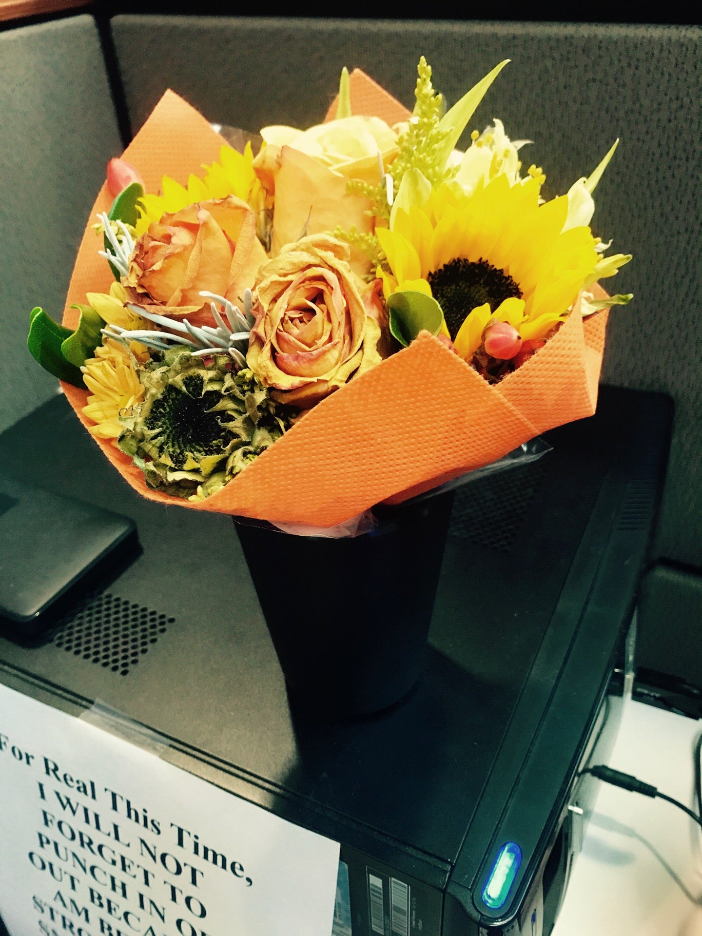 Tinsman & Sciano, Inc San Antonio, TX Office