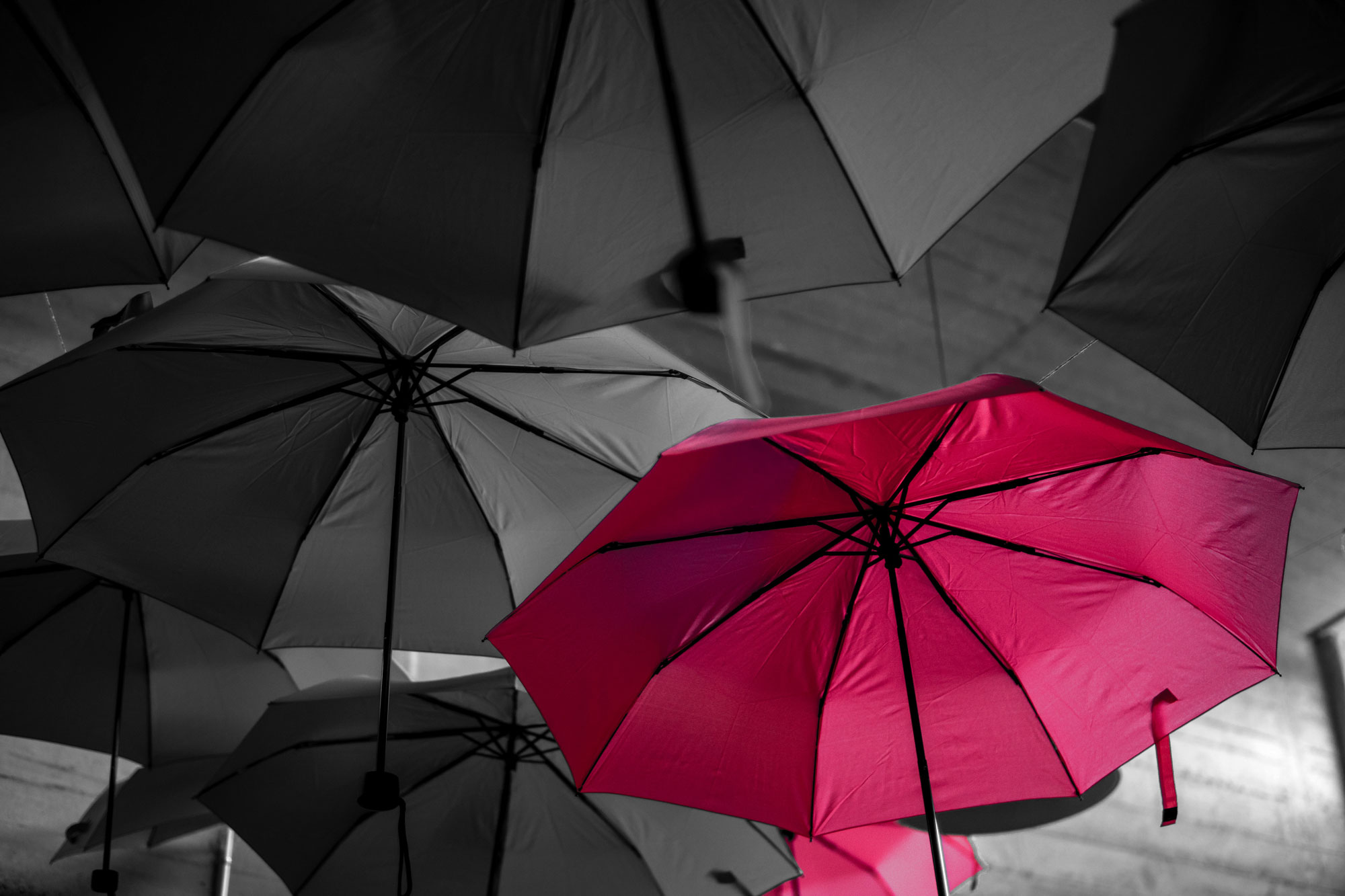 Clarion Law, LLC West Chester,  Office