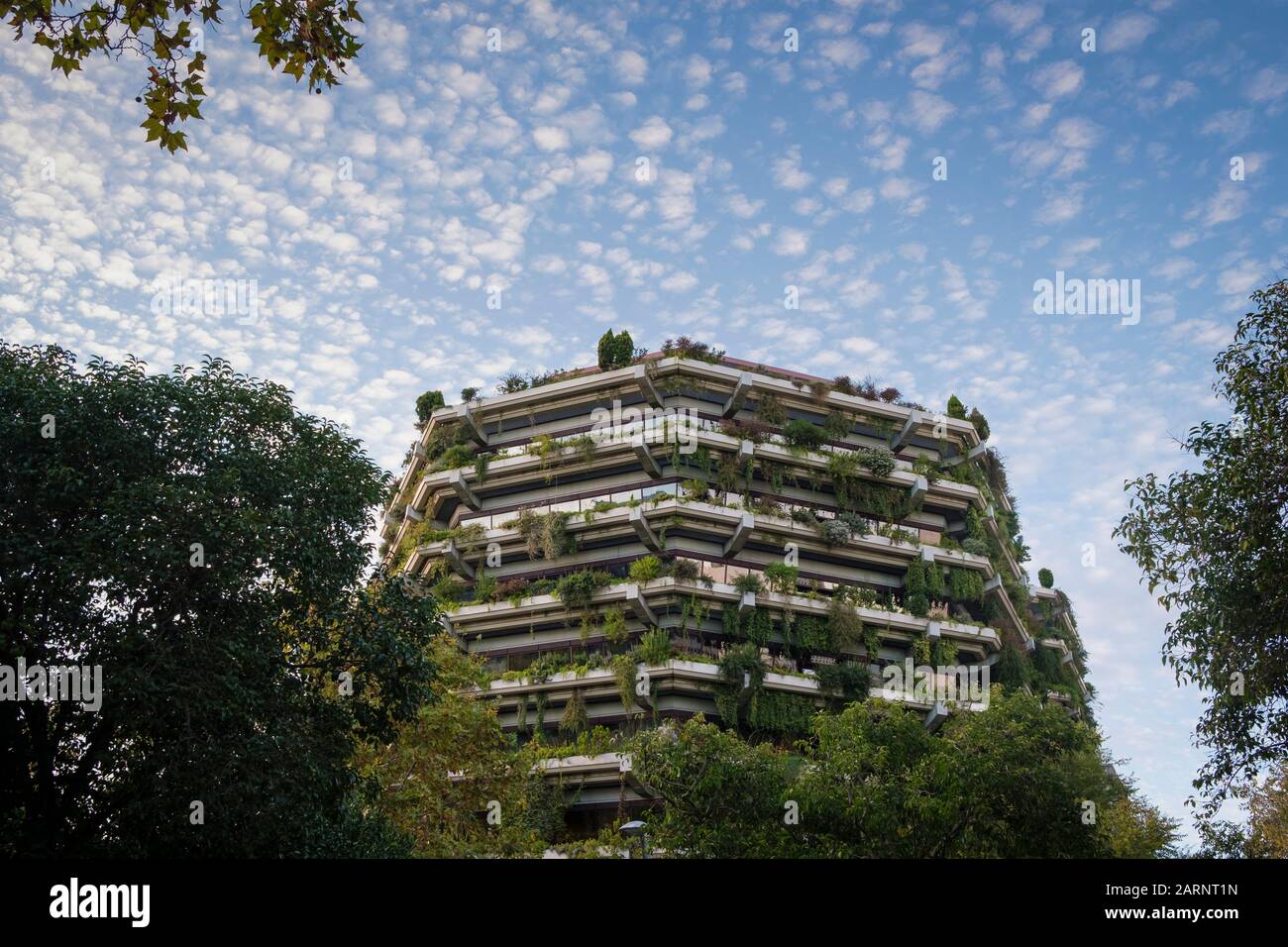 AACNI Barcelona, Spain Office