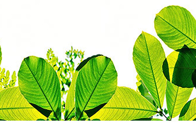 Boardman & Clark LLP Madison, WI Office