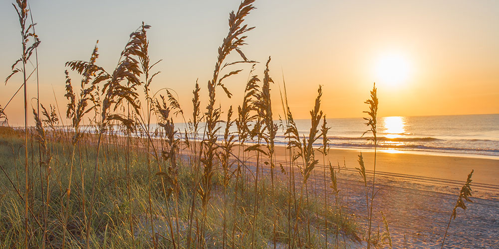 Coastal Law, LLC Surfside Beach, SC Office