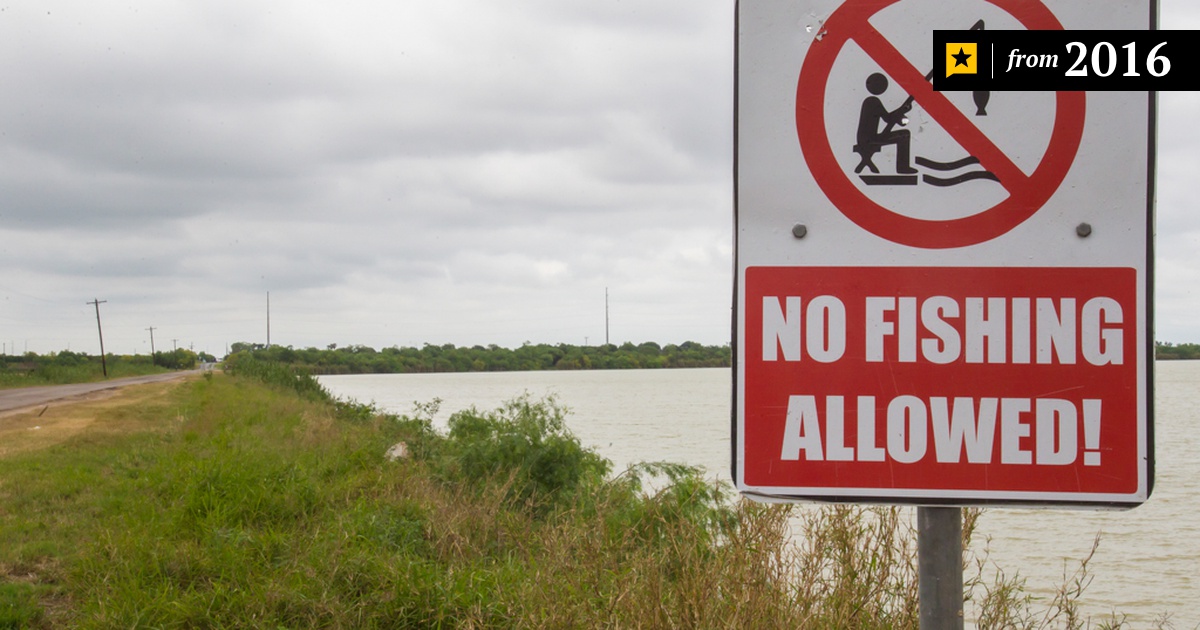 Donna Brown, P.C Austin, TX Office