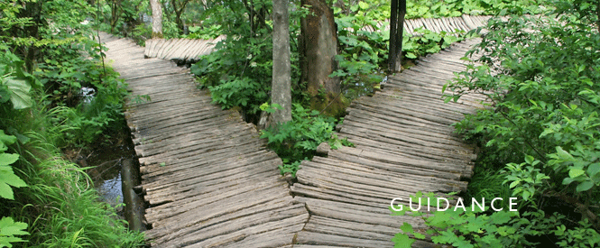 Kates & Barlow, PC Boston,  Office