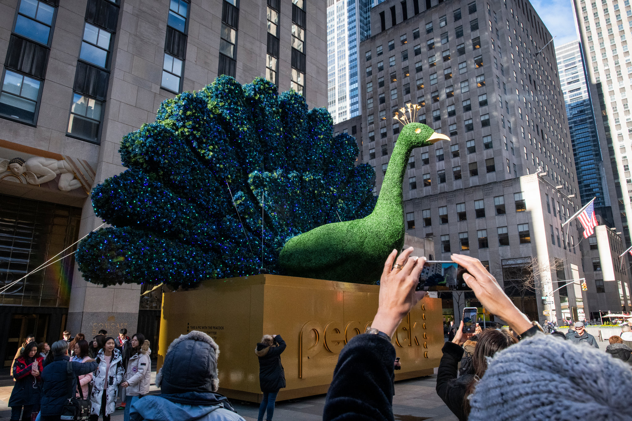 Peacock Law P.C New York City, NY Office