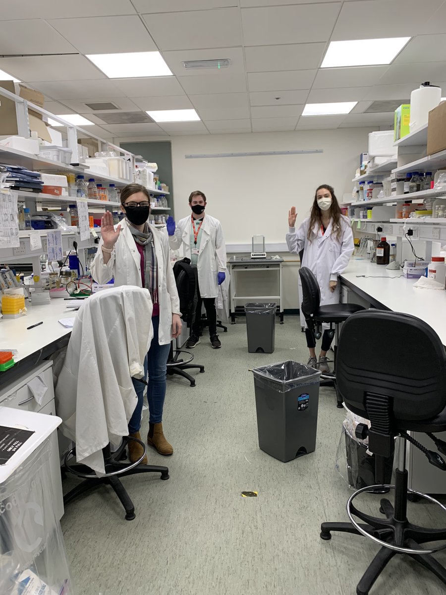 Thompsons Newtownards, Ireland Office