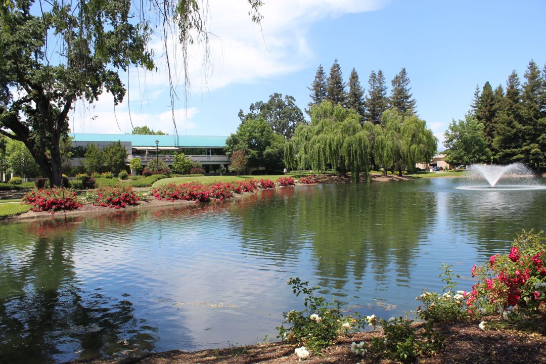 Friedemann Goldberg LLP Santa Rosa, CA Office