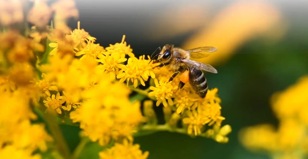 Noerr LLP Alicante, Spain Office