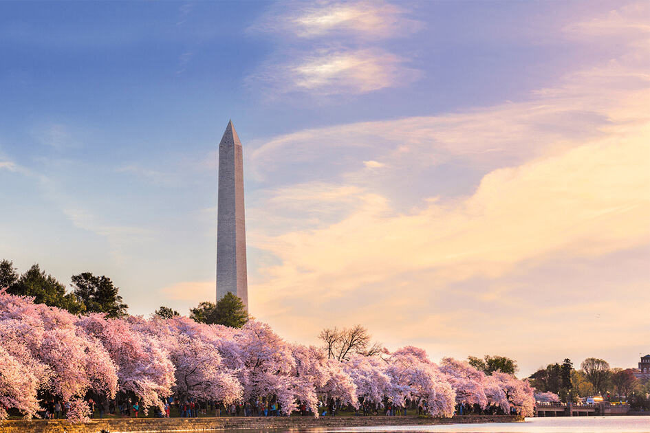 Healthcare Legal Solutions, L.L.C Washington, DC Office