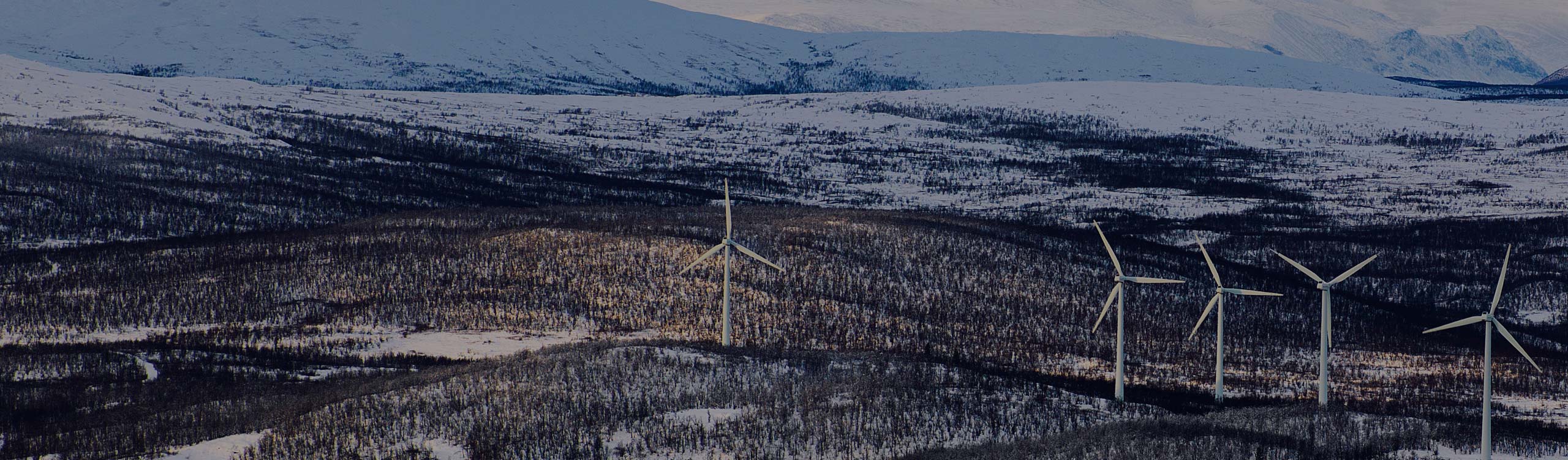 Georgiades & Pelides LLC Nicosia, Cyprus Office