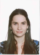 Levitt Grosman LLP Toronto, Canada Office