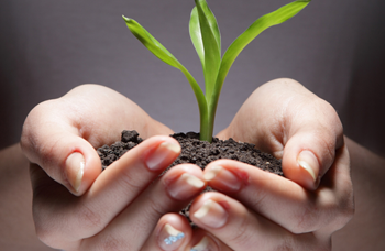 Kalman, Szilasi, Sarkozy and Partners Budapest, Hungary Office