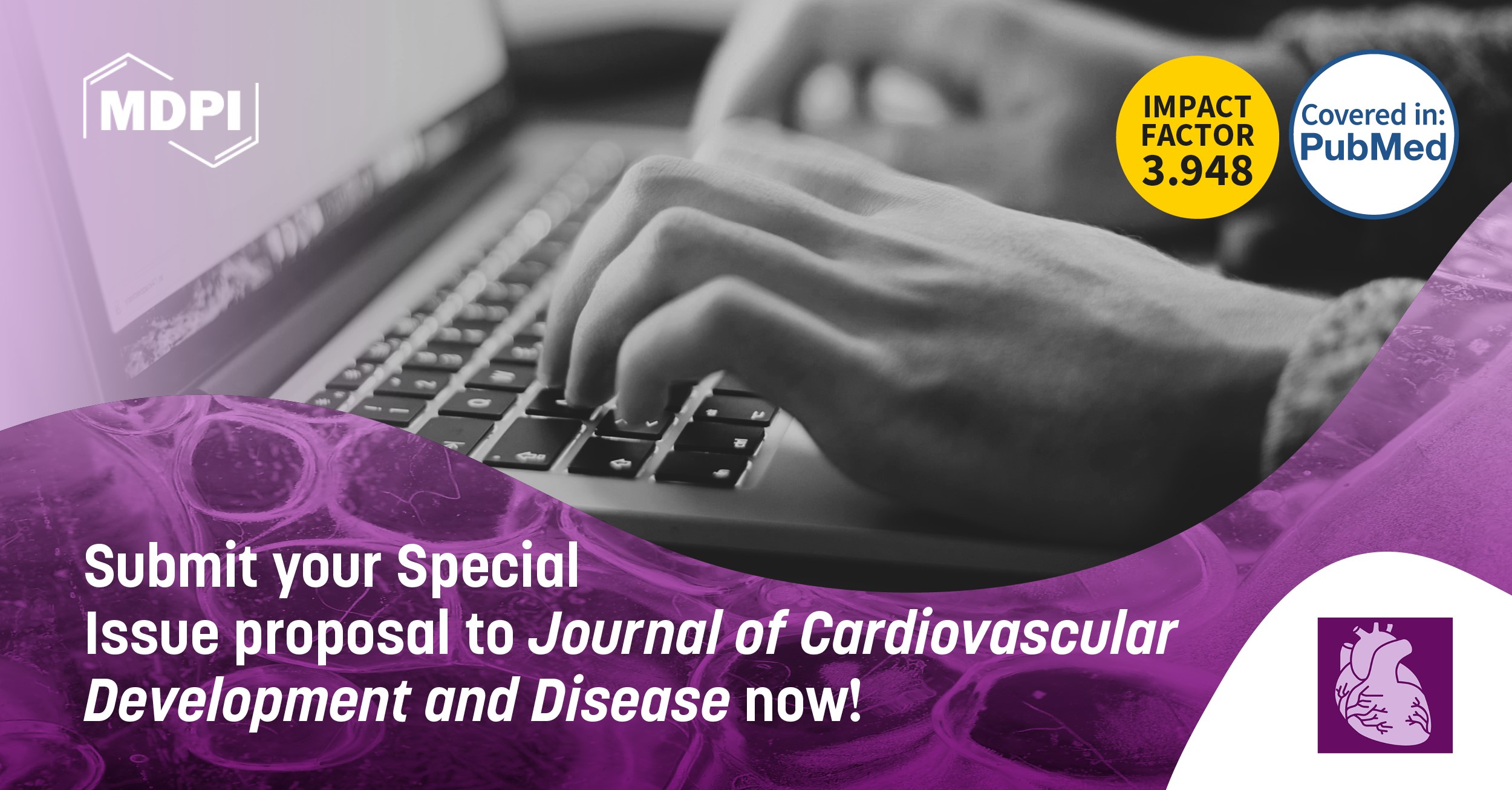 Bowmans Cape Town, South Africa Office