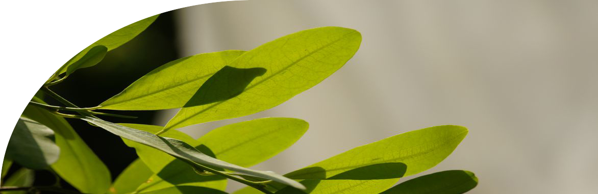 Parra Rodriguez Sanin Bogota, Colombia Office